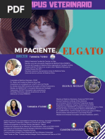 Mi Paciente, El Gato