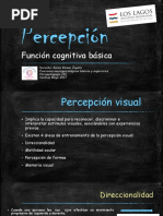 Percepcion Visual