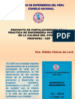 Proyecto de Fortalecimiento