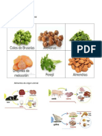 Alimentos de Origen Animal, Vegetal y Mineral