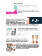 Sistema Endocrino