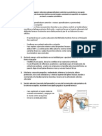 Regiones Pectoral y Escapular