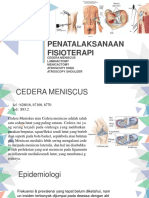 Penatalaksanaan Fisioterapi