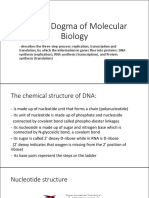 Central Dogma of Molecular Biology