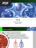 3 Circulacion Sanguinea