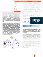 Fisiologia Sanguina