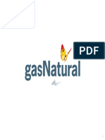 Gas Natural 2010