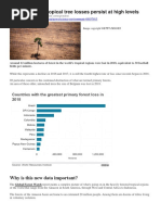 Deforestation Data 2018 BBC April 2019