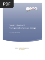 Week 2 - Session 15: Undergournd Natural Gas Storage