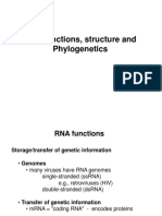 RNA Functions, Structure and Phylogenetics