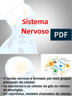 Sistema Nervoso e Neurônios