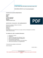 Modelo Relatório PP e NPP 02