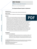 Neuroimaging of The Dopaminereward System in Adolescent Drug Use