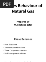 Phase Behaviour of NGas