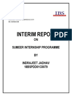 Interim Report 2019