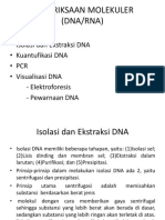 PCR 1