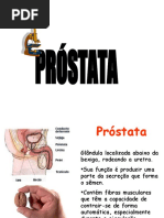 Prostata Aula