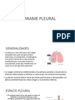 Derrame Pleural