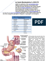 Lecture Notes Urea Cycle Biochemistry 2, 2016 FV: Non-Essential Amino Acids Nitrogen Metabolism