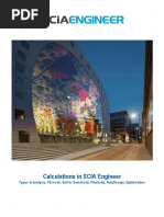 Calculations in Scia Engineer 1 PDF