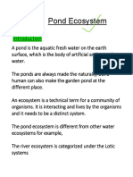 Pond Ecosystem