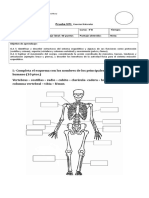 Prueba N°1 Ciencias Naturales 4°B