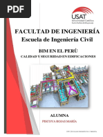 Ejemplos de Bim