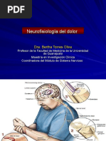 Neurofisiologia Del Dolor 2 PPT Share)