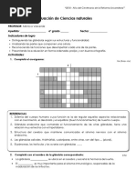 Evaluación Sist Endocrino