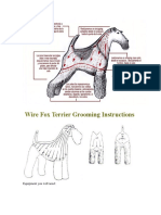 Wire Fox Terrier Grooming Instructions