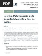 Informe Densidad Aparente y Real 