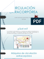 Circulacion Extracorporea