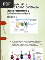 Bloque V