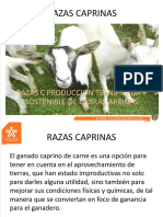  CAPRINOS