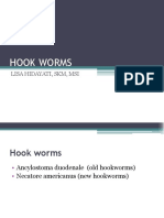 Hook Worms: Lisa Hidayati, SKM, Msi