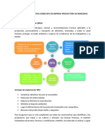 Informe y Diagnóstico Sobre Bpa en Empresa Productora de Manzanas