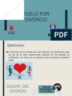 Duelo Por El Proceso de Divorcio Presentación UANL