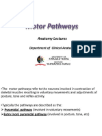 Motor Pathways (1) 2019