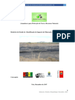 Relatorio Da Identificacao Do Impacto Ambiental