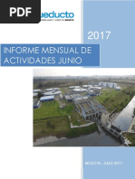 Informe Final Junio 2017 PDF