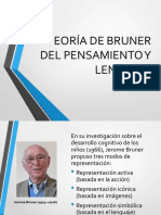 Desarrollo Cognitivo Bruner