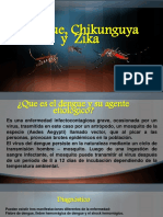 Dengue, Chicunguya y Sika