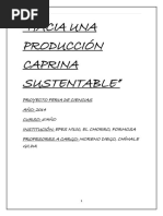 PDF Documento