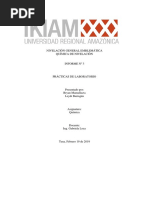 Informe de Quimica