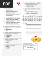 Evaluación Circulatorio 4°A