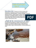 Contaminacion Ambiental