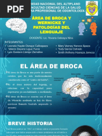 El Área de Broca