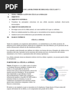 Informe 2