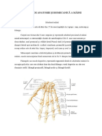 Elemente de Anatomie A Mainii