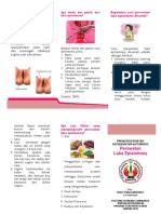 Leaflet Luka Episiotomy